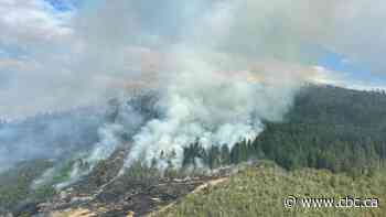 Okanagan Lake wildfire more than doubles in size, forcing more evacuations