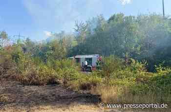 FW Bergheim: Abschlussmeldung zum Wald- und Vegetationsbrand an der Glessener Höhe