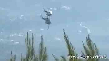 Two killed as firefighting helicopters collide in Greece
