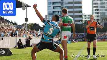 Cronulla coach's belief grows as Sharks surge towards NRL finals