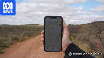 Outback businesses blame Live Traffic NSW for customer downturn