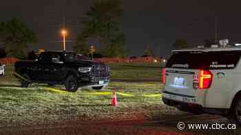 Man, 29, dead after being struck by pickup truck in Downsview Park parking lot: police