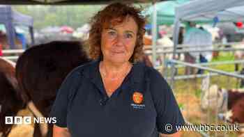 'You can't describe the loss' - the reality of bovine TB on farmers