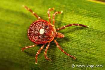 Possibly deadly Bourbon virus confirmed in New York: What is it?