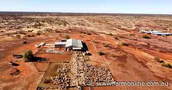 SA investor Charlie Shahin buys Jumbuck's 1.29m hectare sheep stations