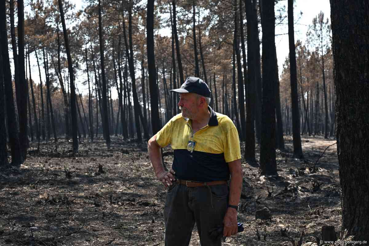 «Ist unser Erbe»: Wie ein Waldbauer gegen den Brand kämpft