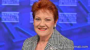 Pauline Hanson bans ABC and The Guardian - as she unveils new leader for Victoria: 'Not putting up with this rubbish'