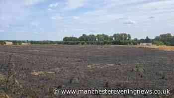 'Large' grass fire breaks out in Cheshire as emergency services called to scene