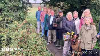 Forest footbridge saved with plan for repair and reopening