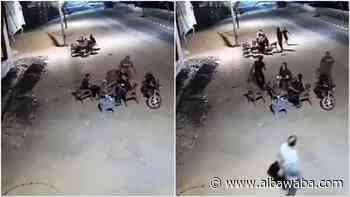 Video: Earthquake of 5.6 magnitude strikes Egypt