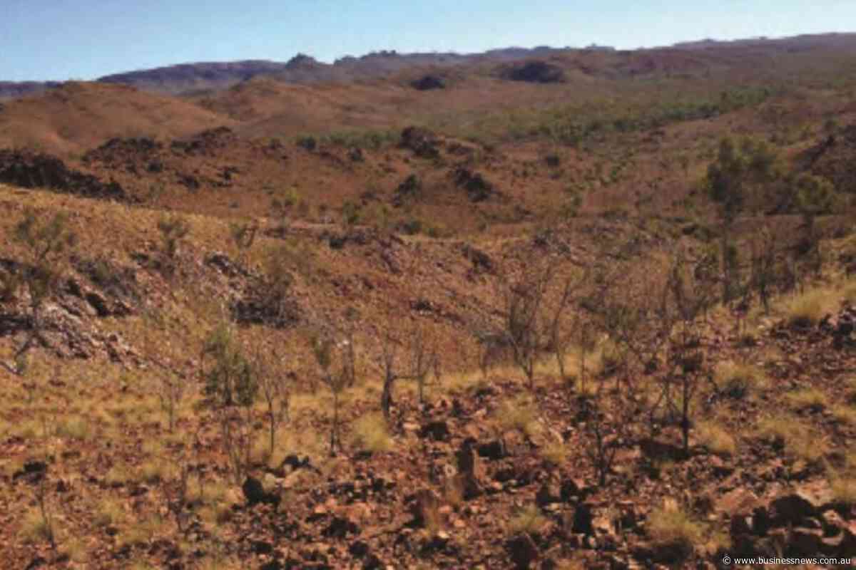 Hammer receives binding offer from Austral