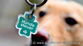 Neuburg hebt Steuer an: Darauf müssen sich Hundebesitzer einstellen