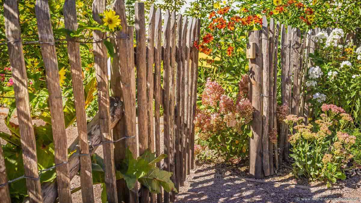 Holzzaun kaufen oder selber bauen: Was Sie über Holzarten, Fundamente und Pflege wissen müssen