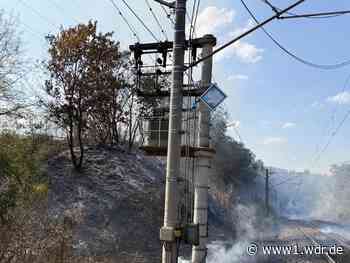 Flächenbrand in Bergheim: Feuerwehr löscht Großfeuer