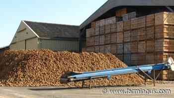 One in seven potato stores still showing sprout suppressant residues