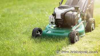 Households told exactly when to mow lawns between now and winter