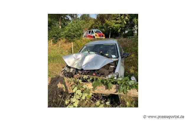 POL-SI: "Ein klein bisschen getrunken" - 19-Jähriger fährt mit Pkw Baum um -#polsiwi