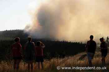Washington wildfires ‘worst disaster’ state has ever faced, says Spokane mayor