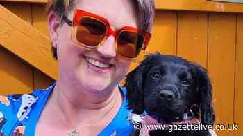 Despite almost losing an eye to reactive German Shepherd, dog groomer Janine 'has best job in world'