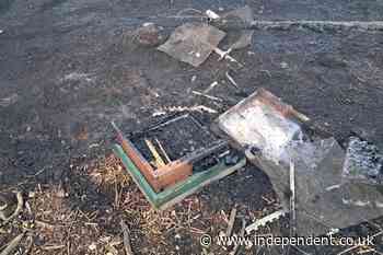 Suspected arson attack kills 200,000 bees as hives torched in Birstall