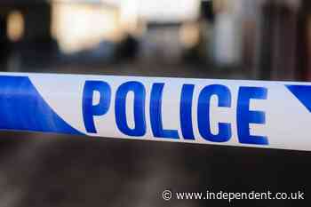 Murder investigation launched after man shot dead at Traveller site in Wiltshire