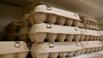 NFU Scotland calls for equal standards on egg imports