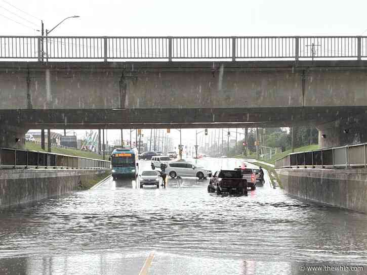 Heavy rain drenches Kingston region as conservation authority warns of high water