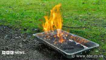 MP calls for disposable BBQ ban for rest of summer