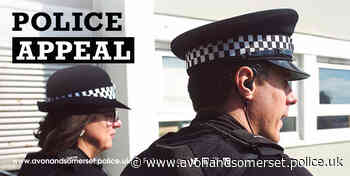 Witness appeal after Bristol assault