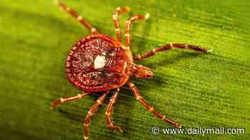 First case of deadly tick-borne virus with no cure reported in New York