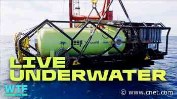 How to Live Underwater in 2026: Meet the Vanguard Habitat
