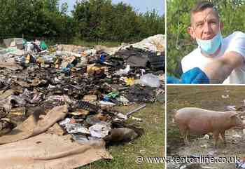 Serial offender avoids jail and £150k clean-up after ‘industrial-scale’ fly-tipping which saw ‘pigs released onto the A2’