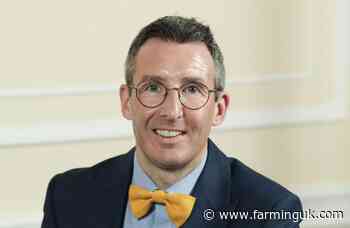 External review ordered after 51 cattle shot in County Tyrone