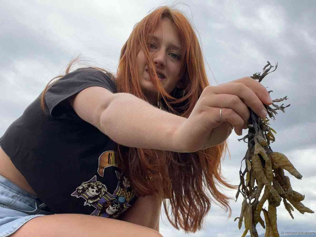 'Seaweed School:' How B.C. kids are being trained on Hornby Island to understand the ocean's forests