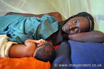 1 in 5 pregnant and breastfeeding women in  eastern Chad acutely malnourished