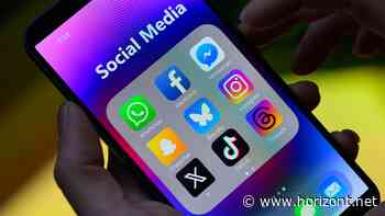 Nutzerzahlen: Wie sich die Social-Media-Reichweite weltweit auf die Plattformen verteilt