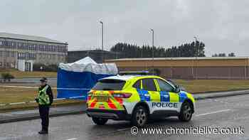 Man arrested over death of nine-year-old girl was known to her