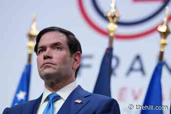 Rubio says he initially 'hated' couch photo in viral meme