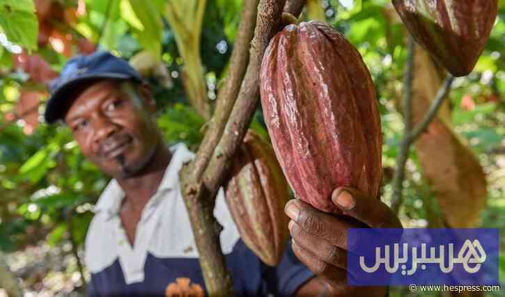 البرلمان يشرع لحماية "مزارع الكاكاو" في غان&#