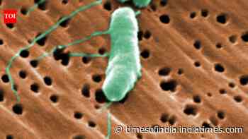 Florida's first flesh-eating bacteria death of 2026 raises concerns during beach season as warm waters fuel infections