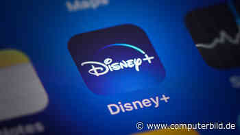 Neu bei Disney+: Alle Starts für August im Überblick