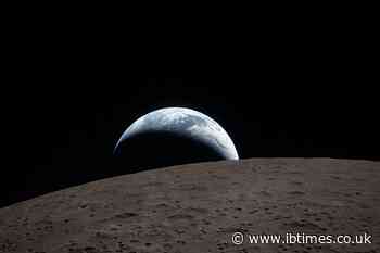 'A Preemptive Shield': Scientists Propose Moon Quarantine to Block Alien Species Contamination