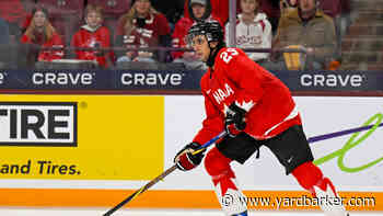 Canadiens Trying One More Time to Sign Michael Hage