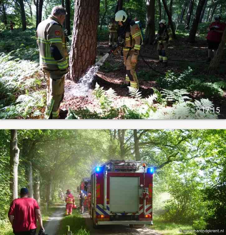 Brandweer naar Noordlaarderbos, natuurbrand voorkomen