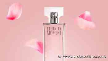 'Beautiful long-lasting' Calvin Klein perfume 'I just love' down to £25 from £98