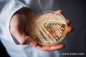 Superbug confirmed in 23 states: Where is the deadly fungus spreading in 2026?