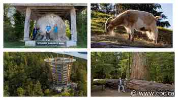 Search for B.C.'s best roadside attraction: Round 1, Vancouver Island
