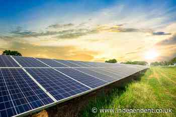 Solar powers highest share of UK electricity ever after record July sunshine