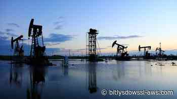 La Opep+ aumenta su cuota de produción de petróleo en 188.000 barriles diarios