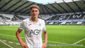Swansea City announce fifth signing of summer as Benfica starlet joins